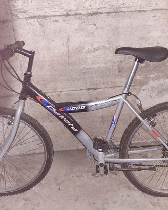 bicicletta da donna
