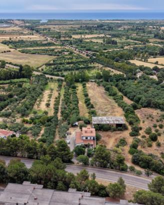 Ristorante con terreno