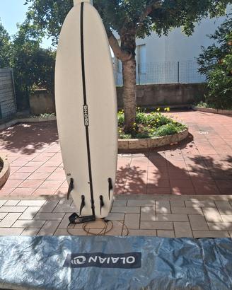 tavola da surf 