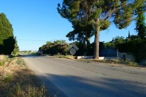VILLA SINGOLA A SCANZANO JONICO