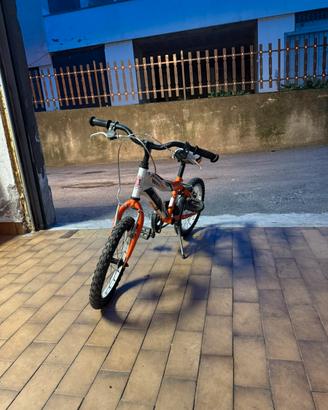 Bicicletta