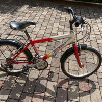 Bicicletta bambino marca TIESSE