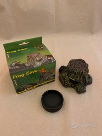 Tana rane dendrobatidi