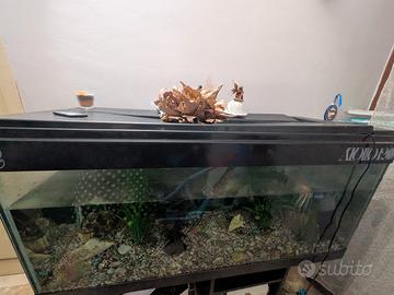 acquario grande 