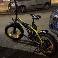 Fat bike
