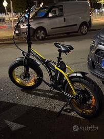 Fat bike