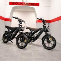Bicicletta elettrica ouxi gt20