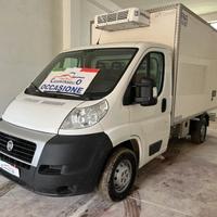 FIAT DUCATO FRIGORIFERO ANNO 2010