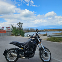 Benelli leoncino 500 trail