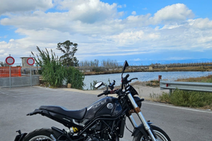 Benelli leoncino 500 trail