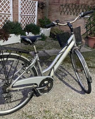 bicicletta da città
