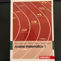 Libro di analisi matematica 1
