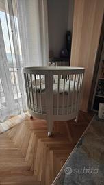 CULLA evolutiva Pali Lab 03