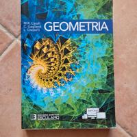 Libro di Geometria e Algebra 