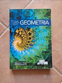 Libro di Geometria e Algebra 