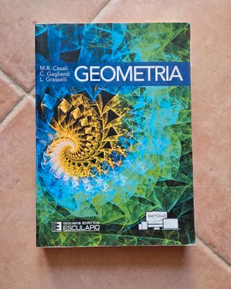 Libro di Geometria e Algebra 
