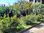 Immagine 11