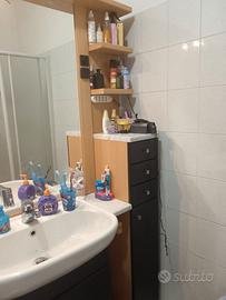 Bagno con specchiera