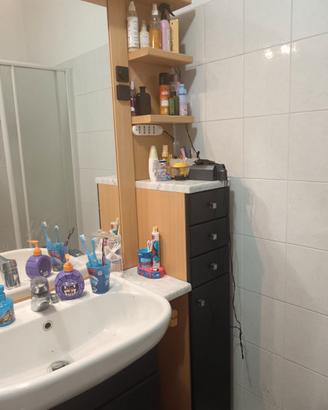 Bagno con specchiera