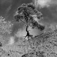 Fotografia per spazi interni