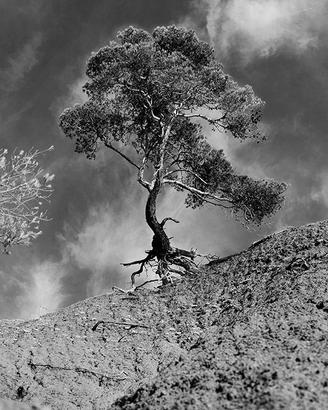 Fotografia per spazi interni
