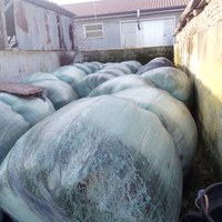 Fieno foraggio primo raccolto