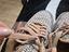 Immagine 5