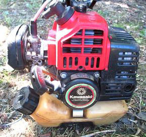 DECESPUGLIATORE TAGLIA ERBA