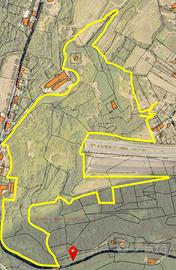 Terreno con rustici e vigneto zona Monte Berico