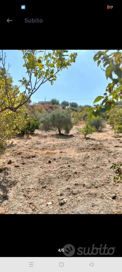 Terreno agricolo con progetto - Vista 4