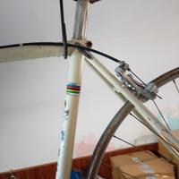 moser