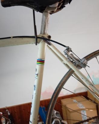 moser