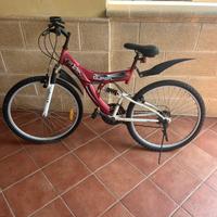 Bicicletta ragazzo