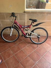 Bicicletta ragazzo