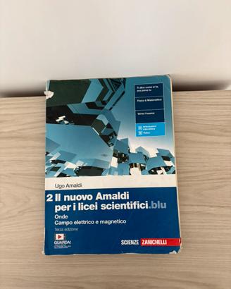 2 Il nuovo Amaldi (Licei Scientifici)