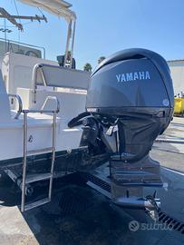 WA Coverline Yamaha 150 cv