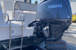 WA Coverline Yamaha 150 cv