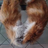 Collo di pelliccia di vera Volpe