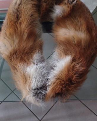 Collo di pelliccia di vera Volpe