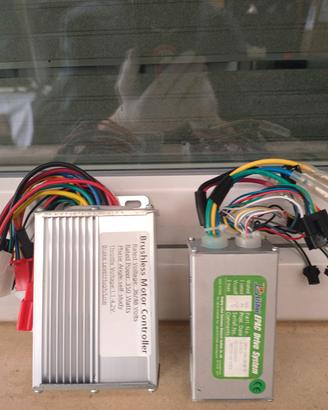 bici elettrica fat bike 