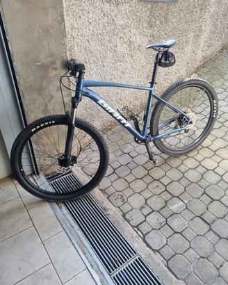Mtb Giant