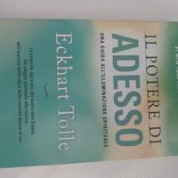 il potere di adesso 