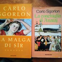 LIBRI DI CARLO SGORLON e altri libri