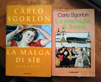 LIBRI DI CARLO SGORLON e altri libri