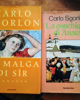 LIBRI DI CARLO SGORLON e altri libri