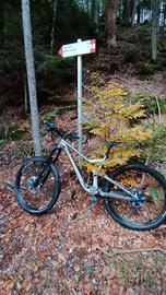 scott ransom 920
