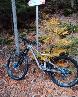 scott ransom 920