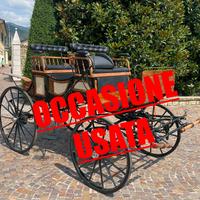 Carrozze per cavalli paithon esterasi usato