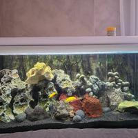 Acquario 80cm completo di filtro esterno e mobile 
