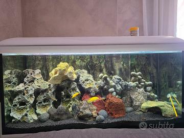 Acquario 80cm completo di filtro esterno e mobile 